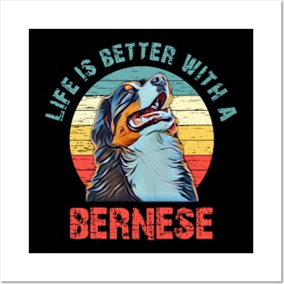 Bernese mountain dog Posters and Art